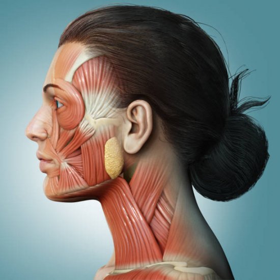 PARALYSIES FACIALES